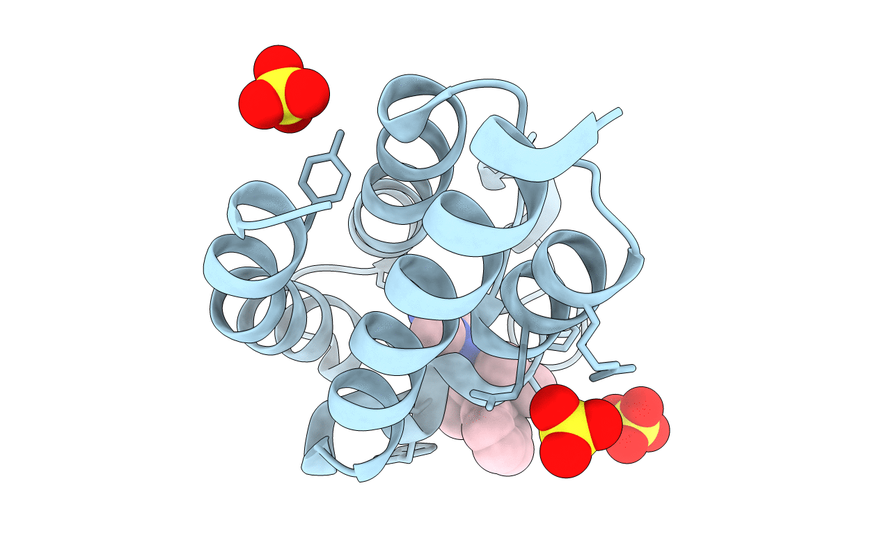 5TPX image