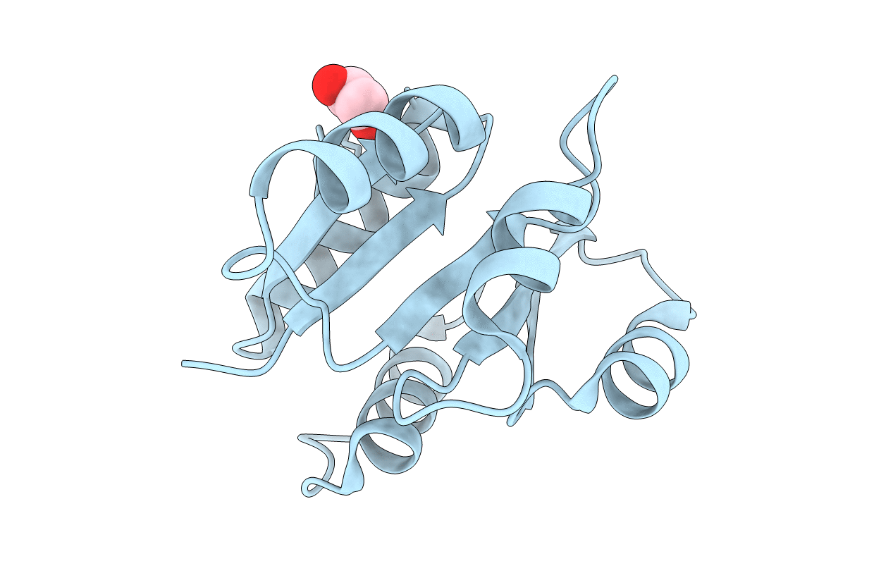5TQJ image