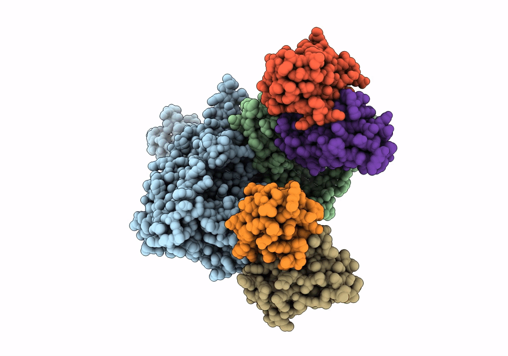 5TR1 image