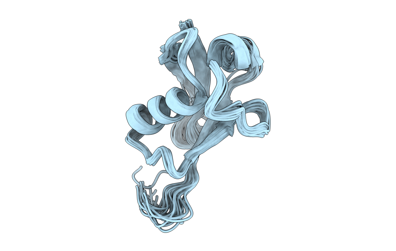 5TR5 image