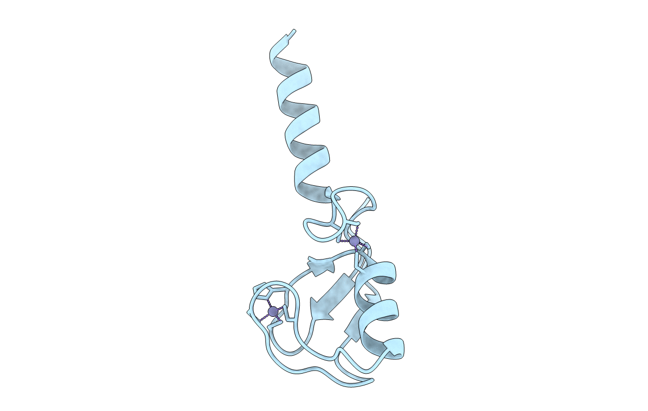 5TRB image