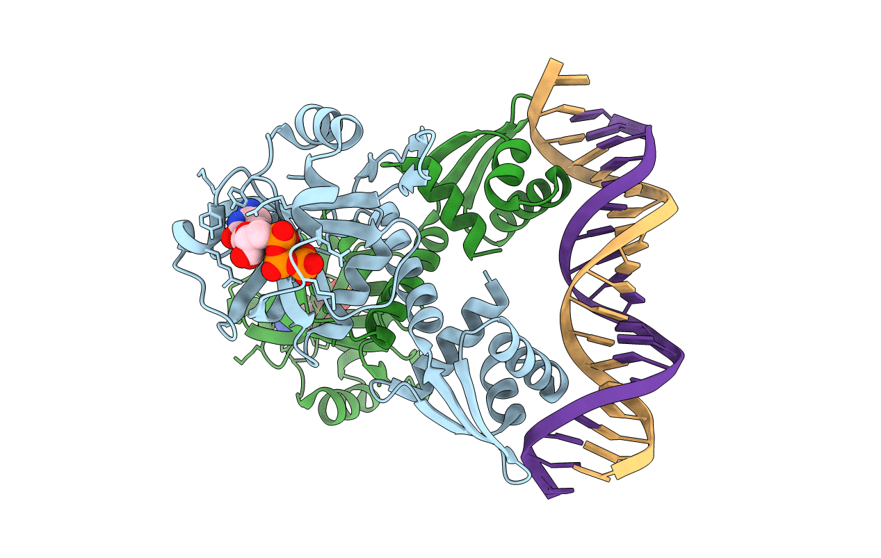 5TRD image
