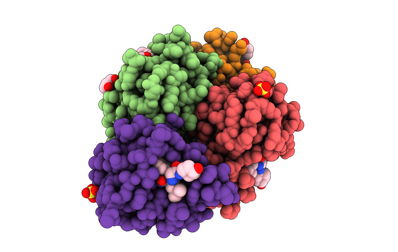 5TRF image
