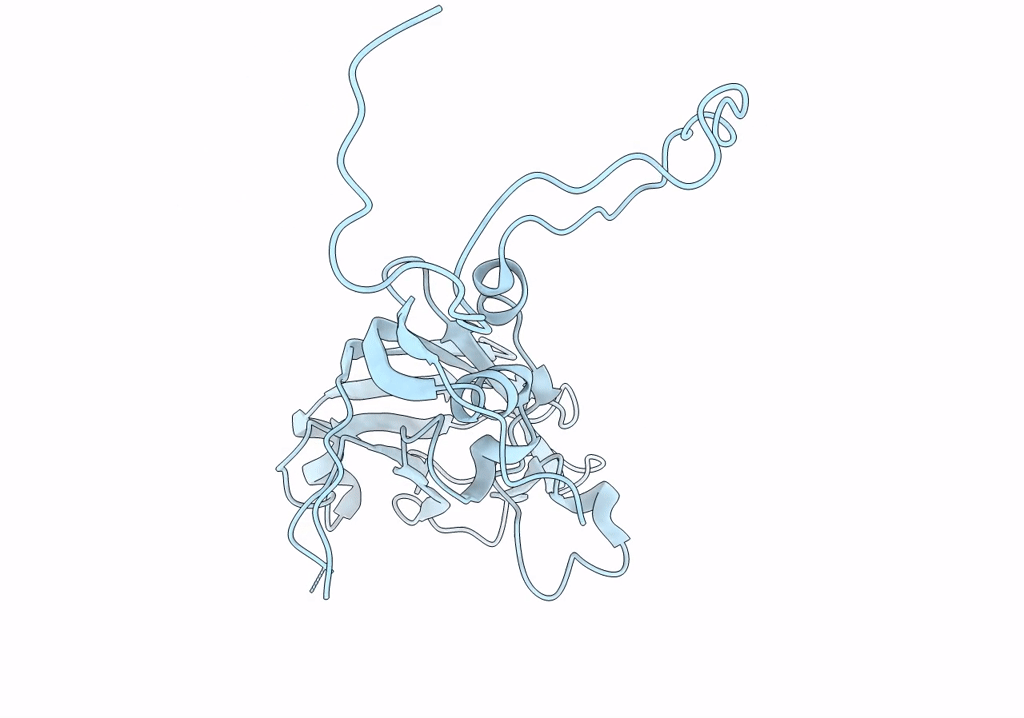5TSL image