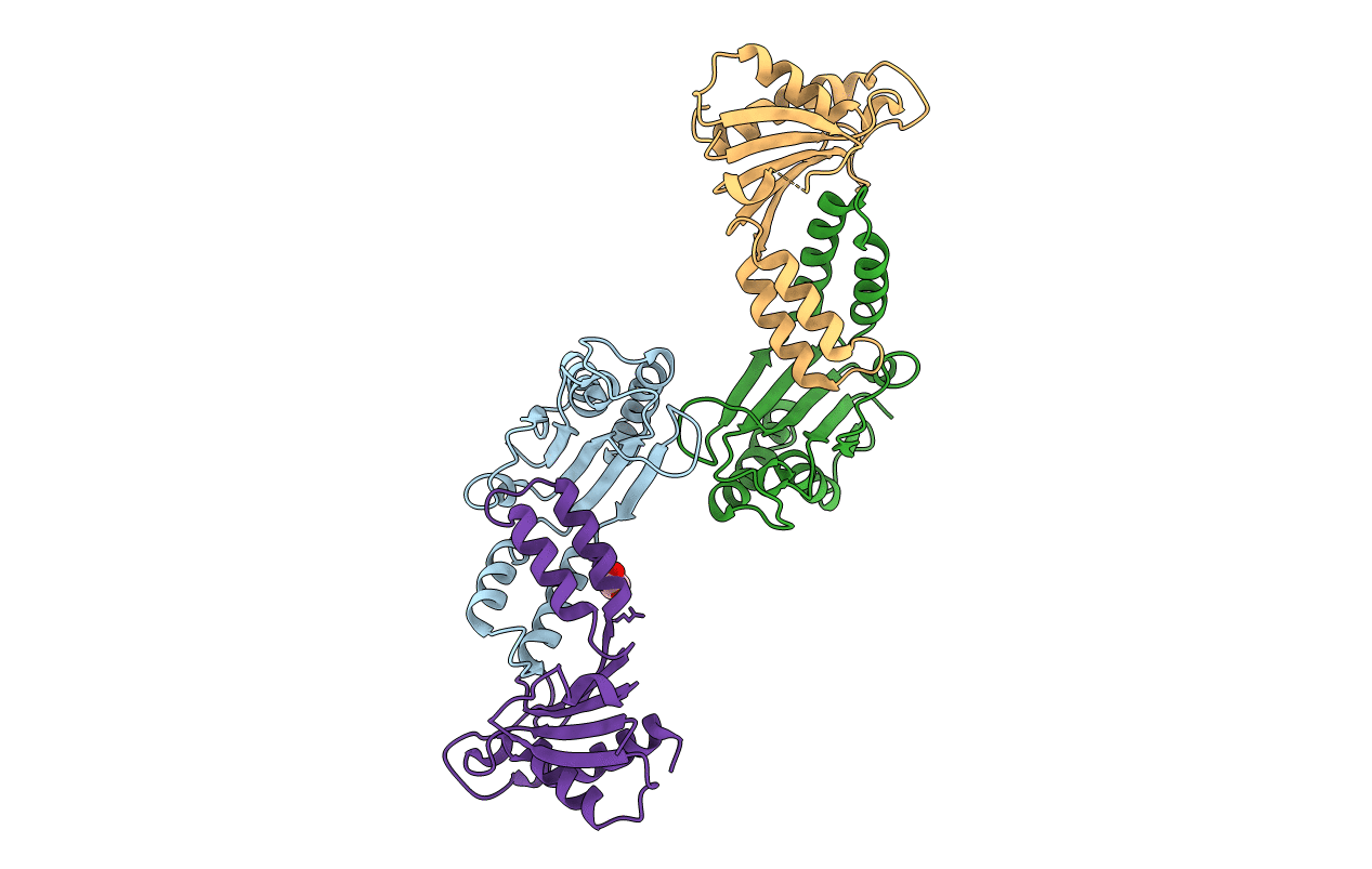 5TTX image
