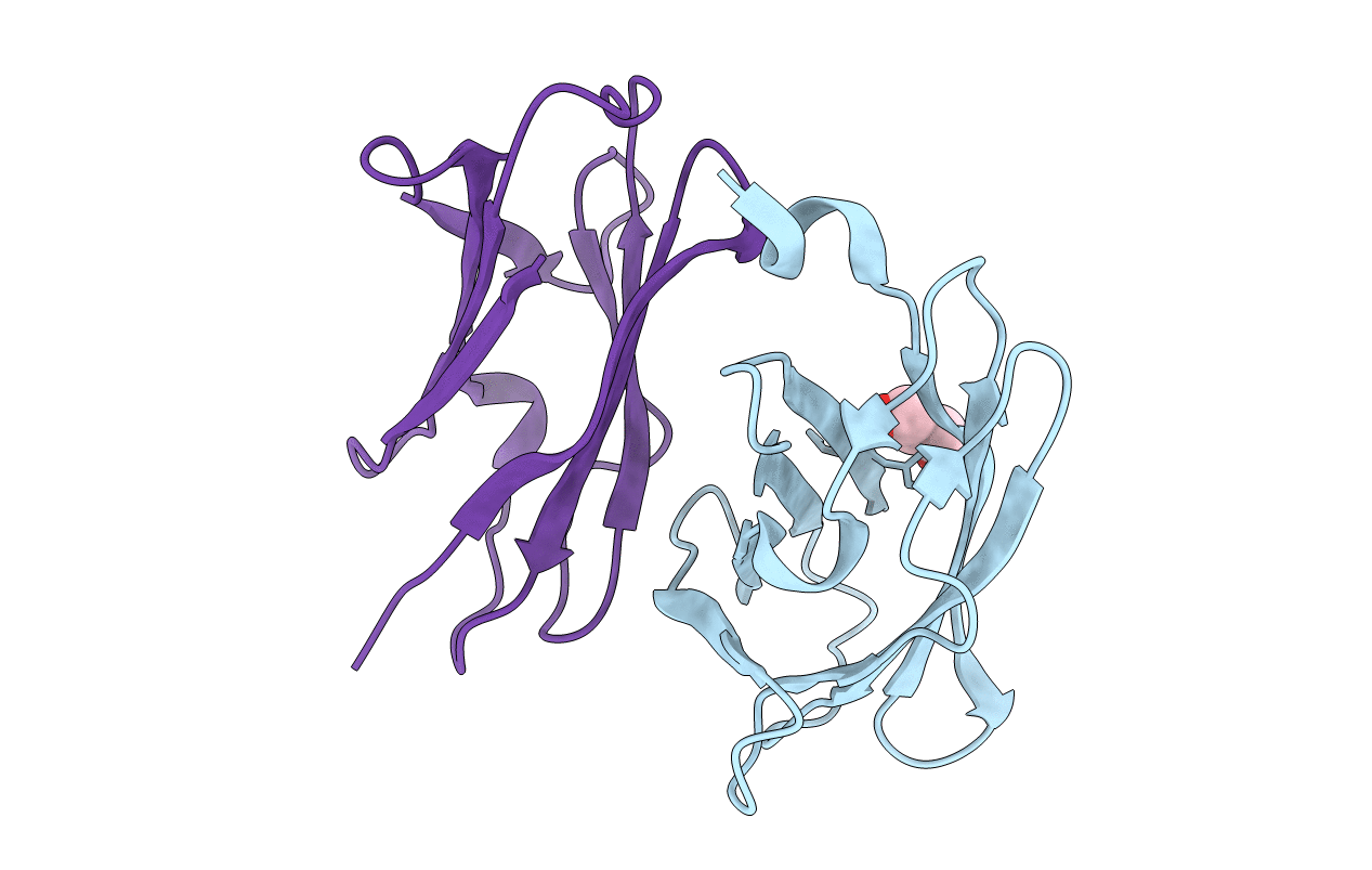 5TUH image