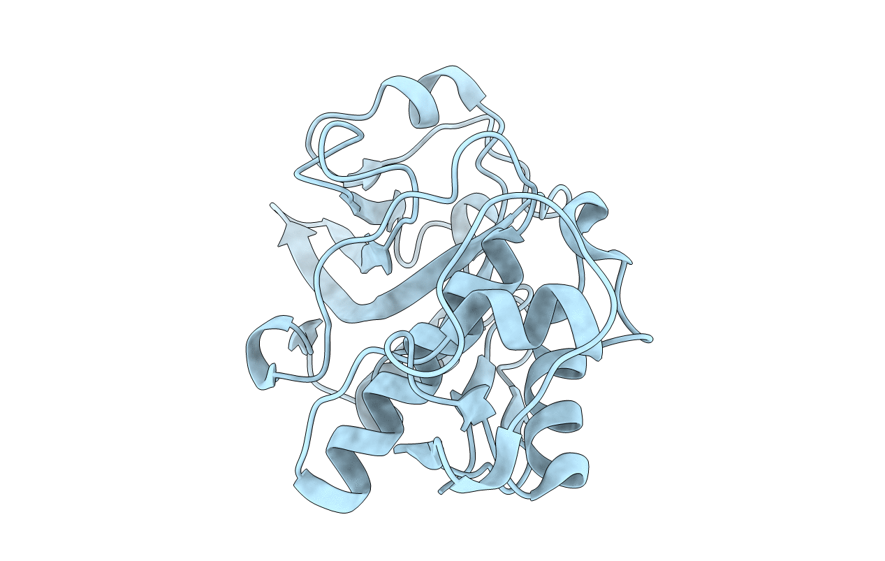 5TUN image