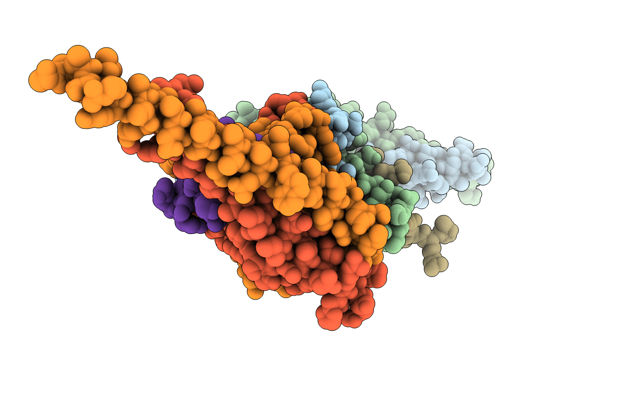 5TUV image