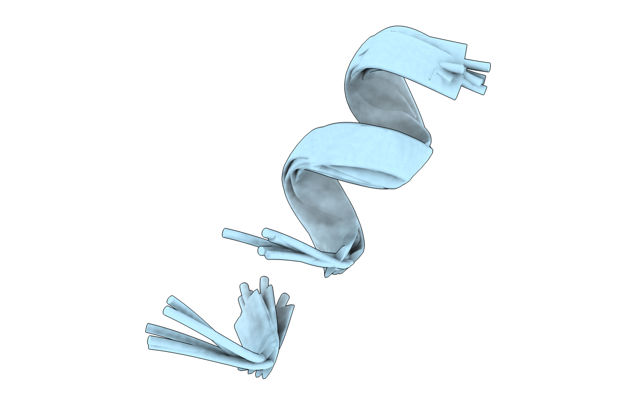 5TWW image