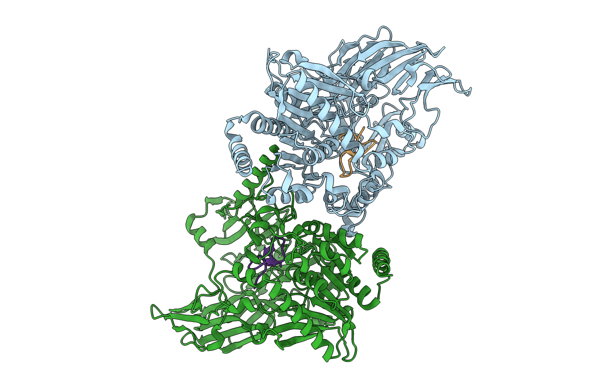 5TXE image