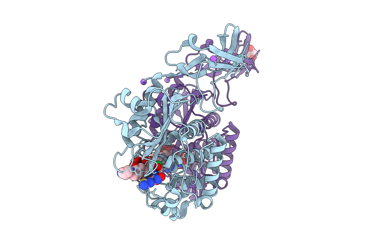 5TXI image