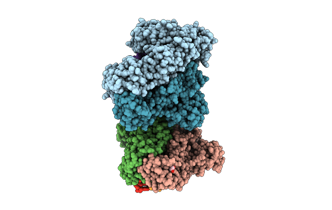 5TXN image