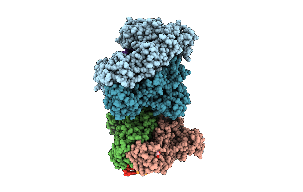 5TXO image