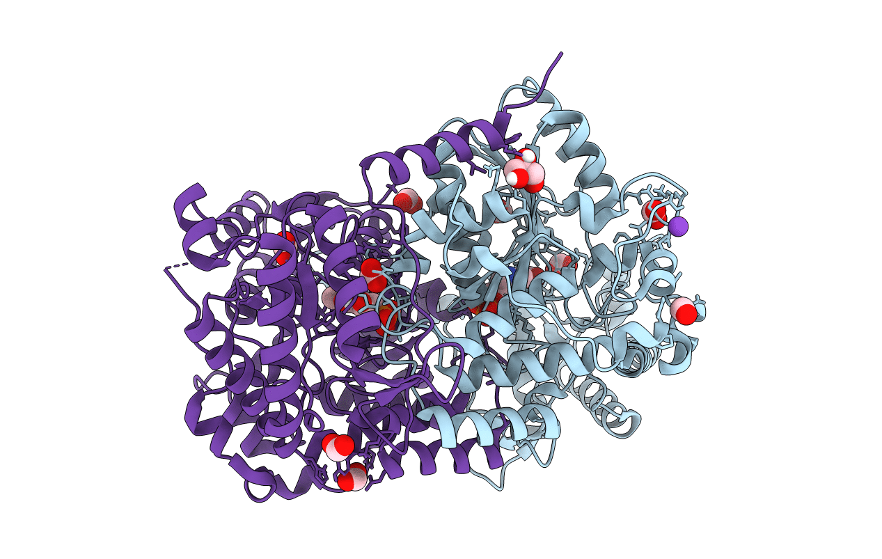 5TXR image