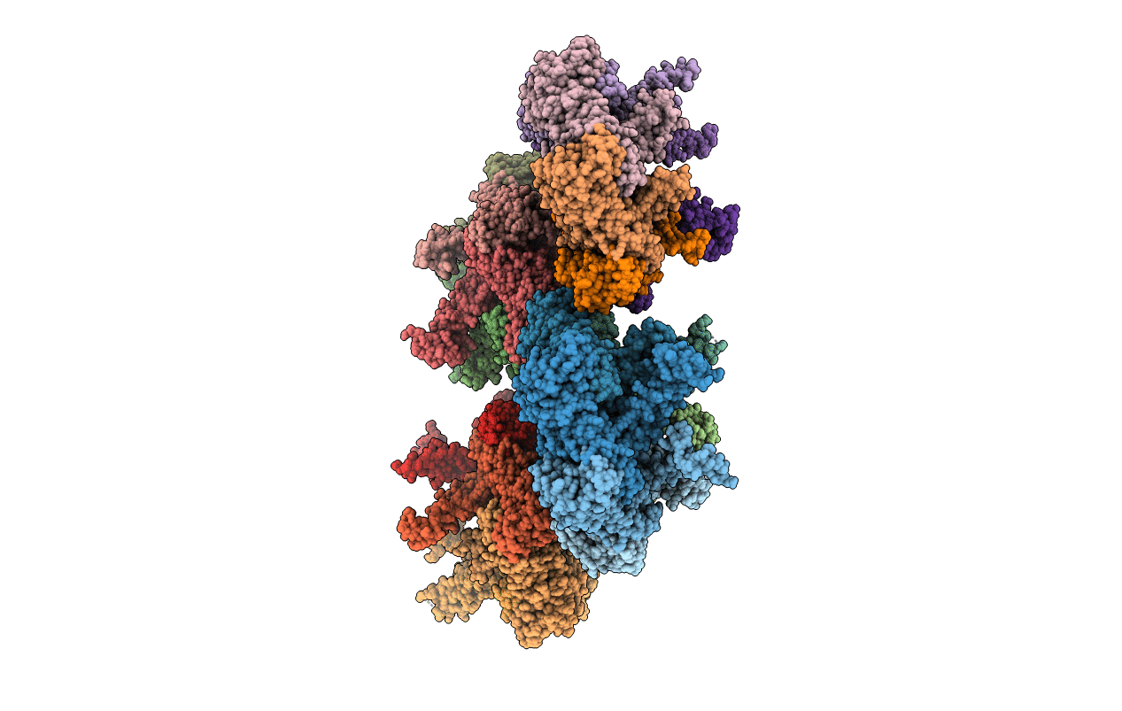 5TXV image