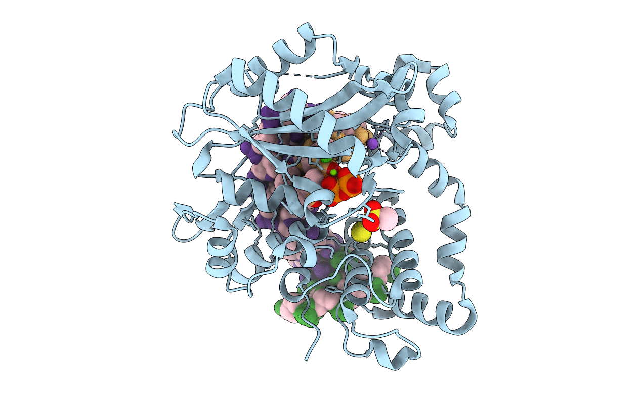 5TYC image