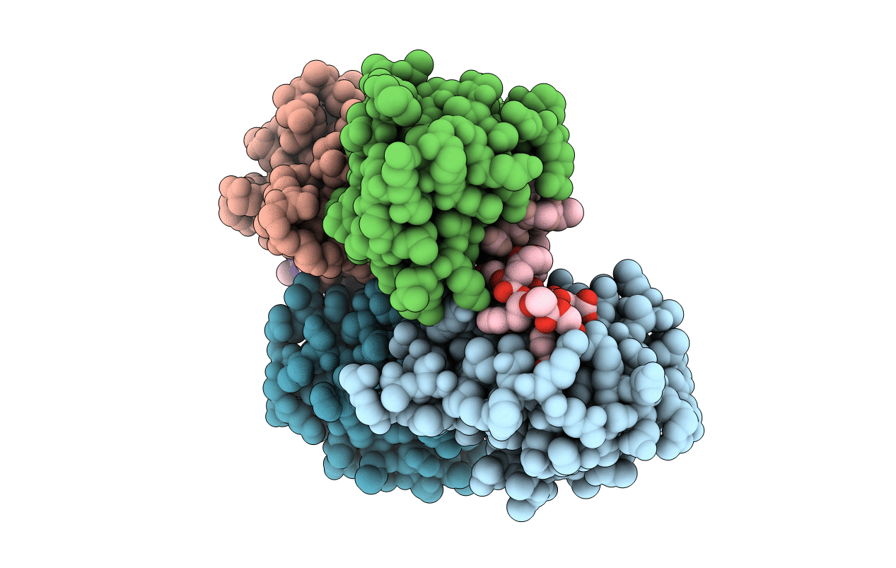 5TYI image
