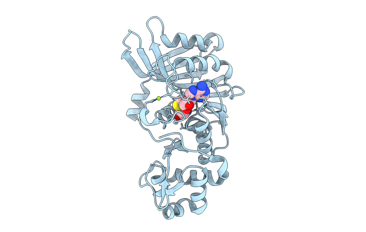 5TYQ image
