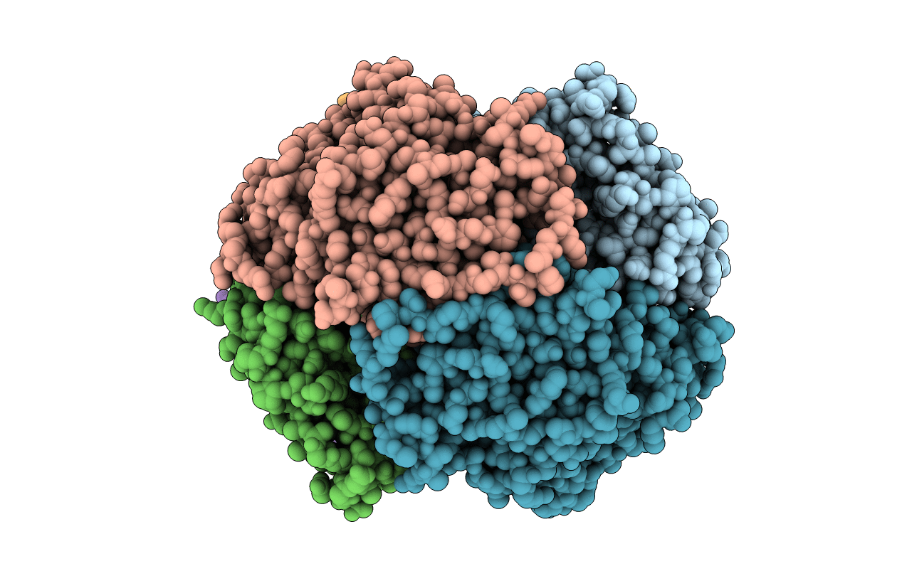 5TZB image