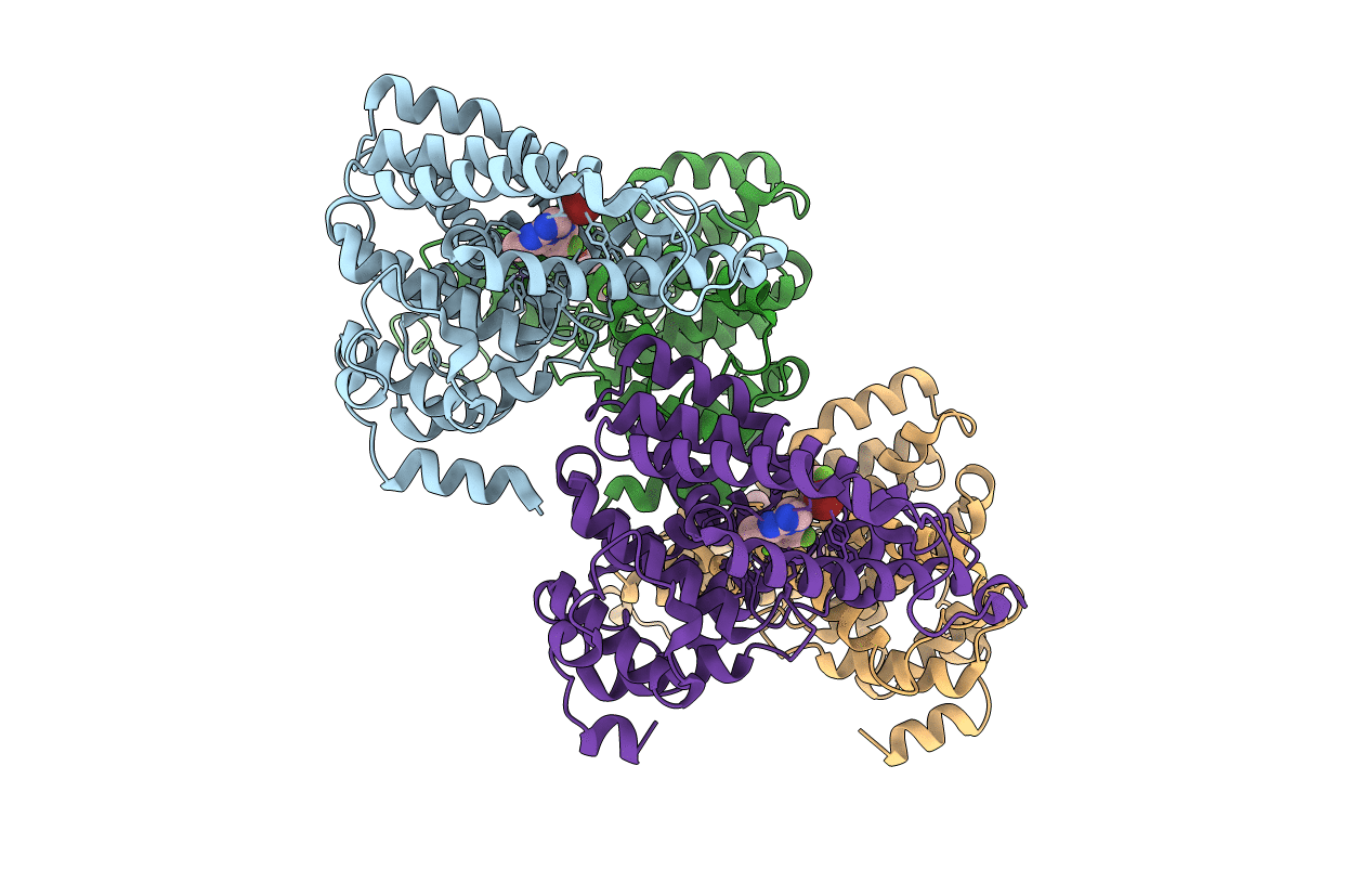 5TZC image