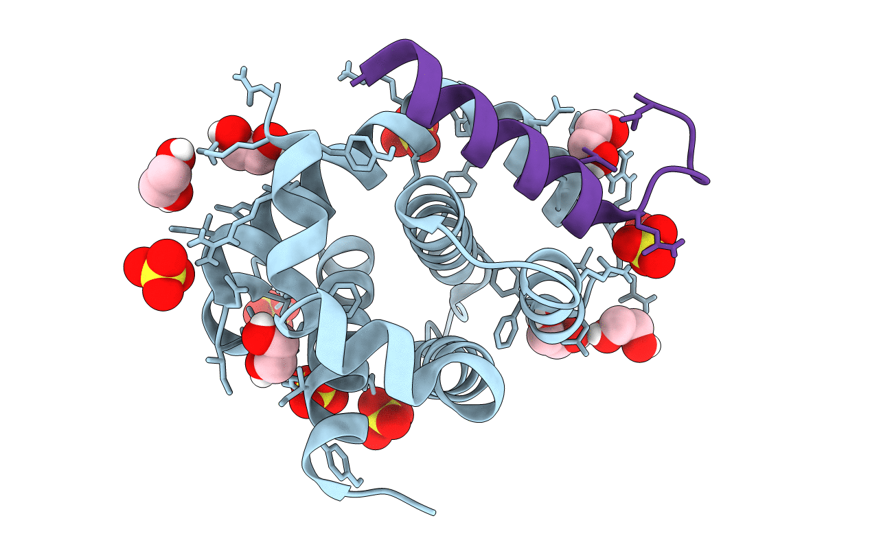 5TZP image