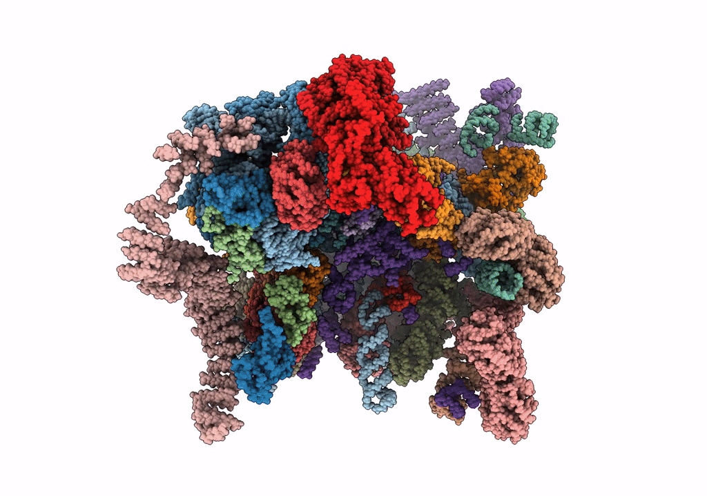 5TZS image