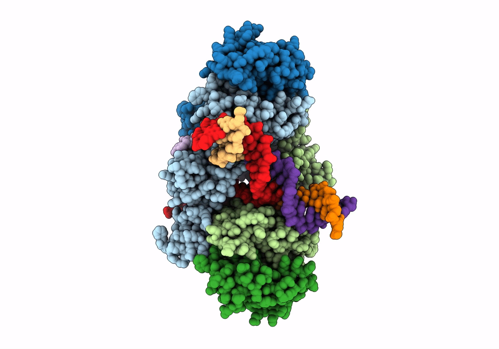 5U1C image