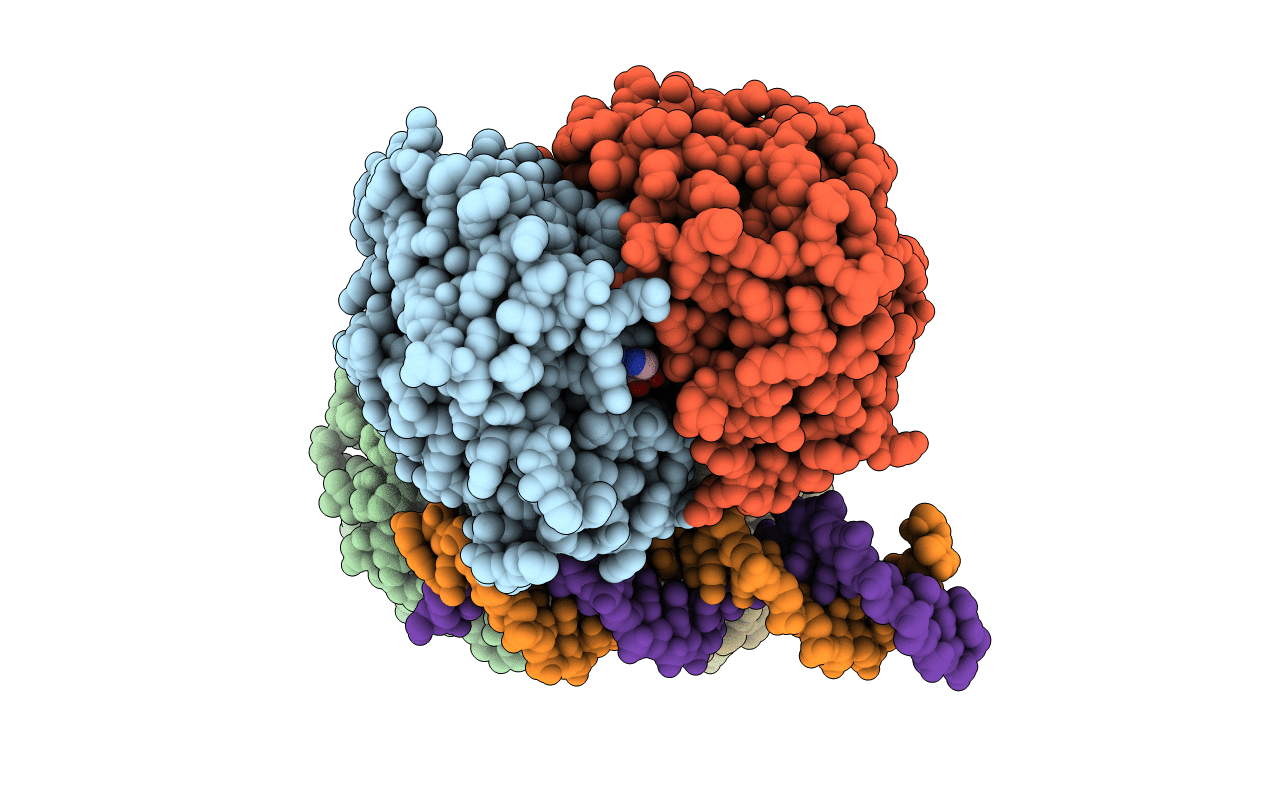 5U1J image