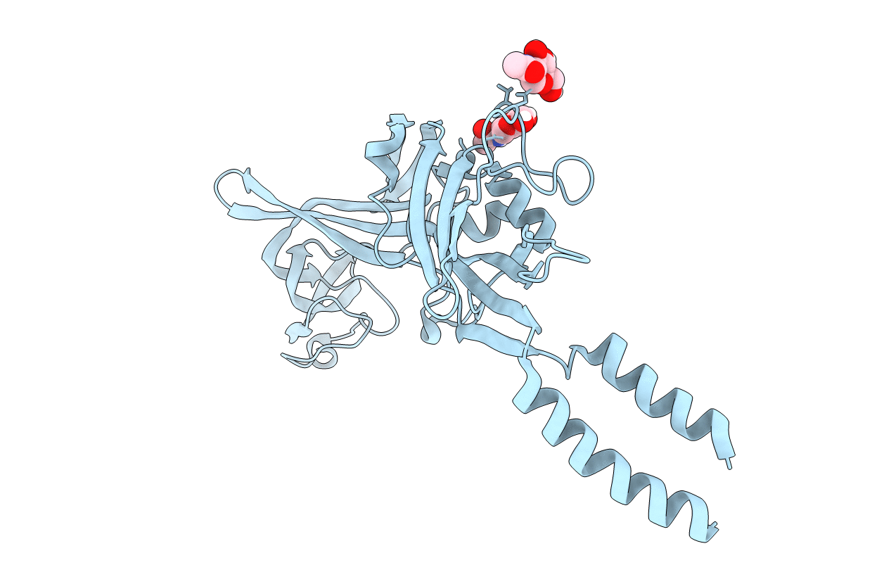 5U1L image