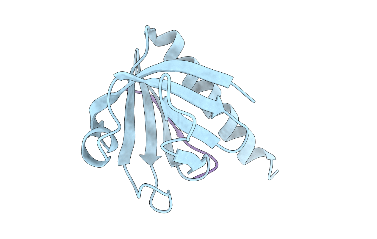 5U1M image