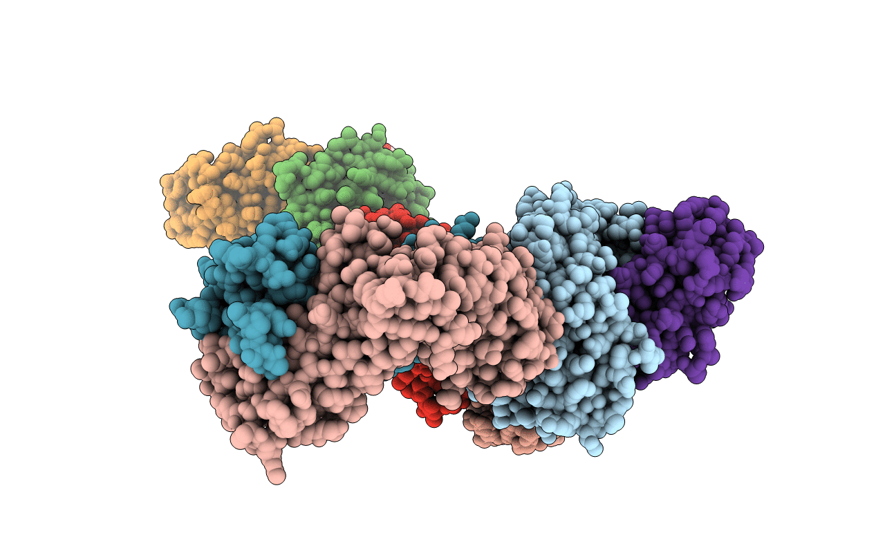 5U1R image