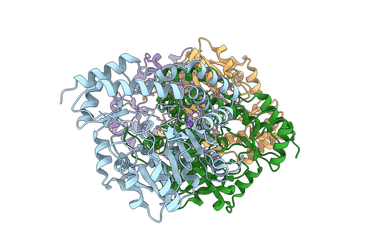 5U1Z image
