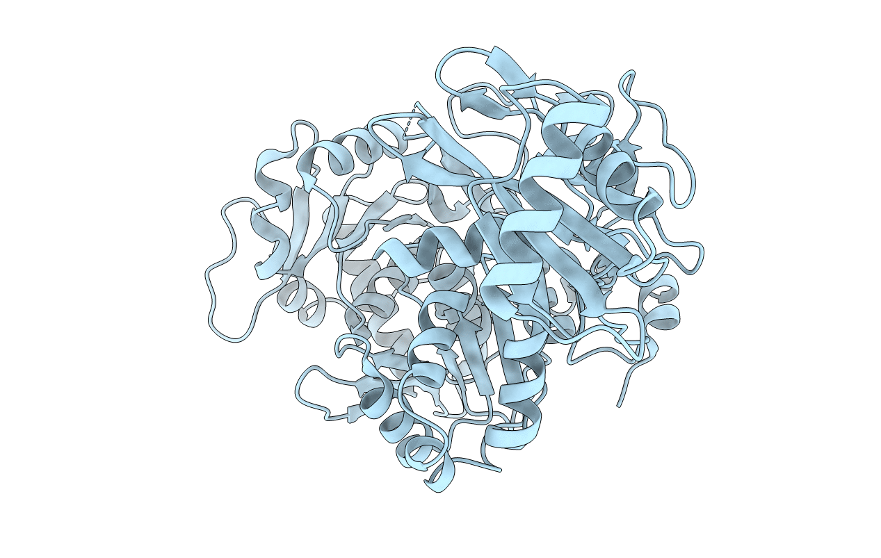 5U2A image