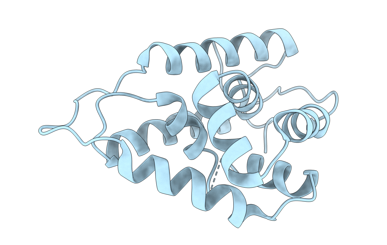 5U2L image