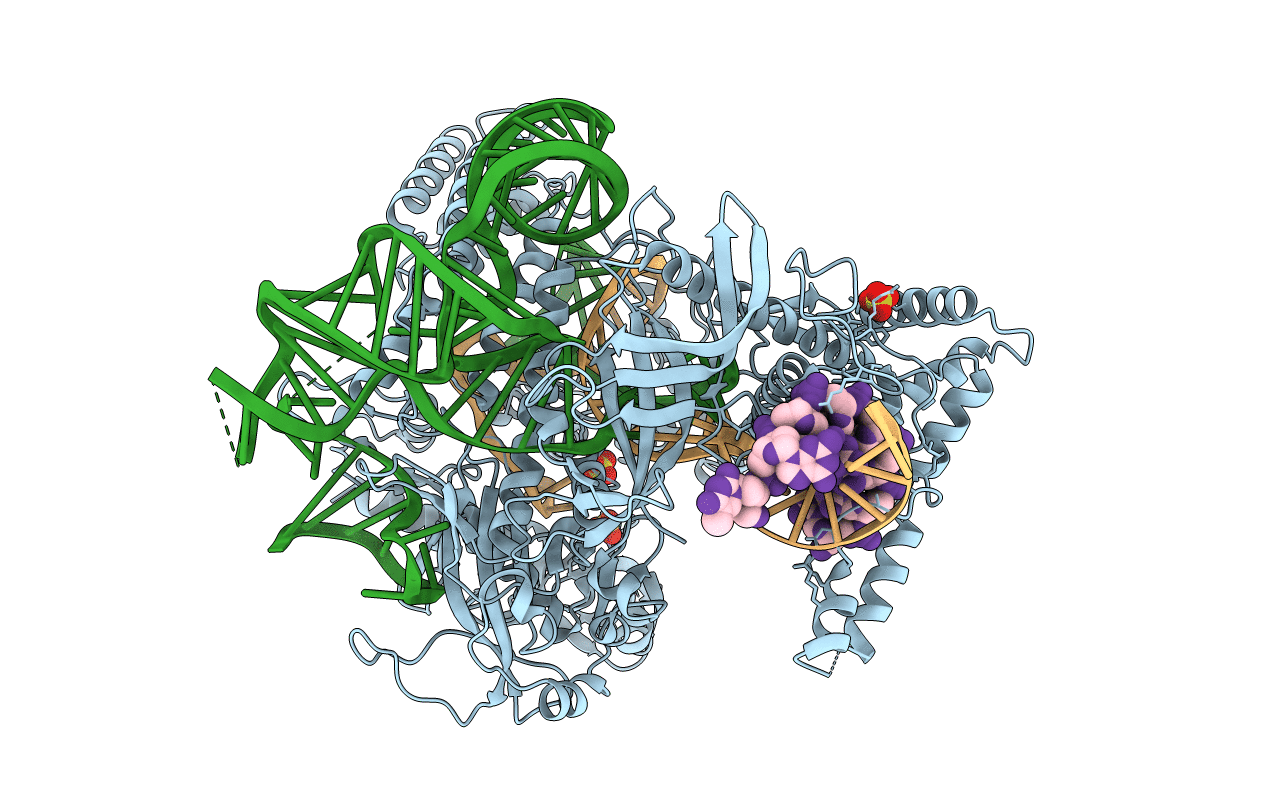 5U30 image