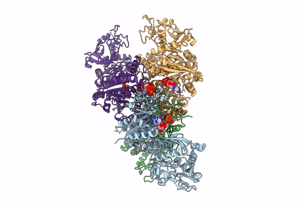 5U3C image