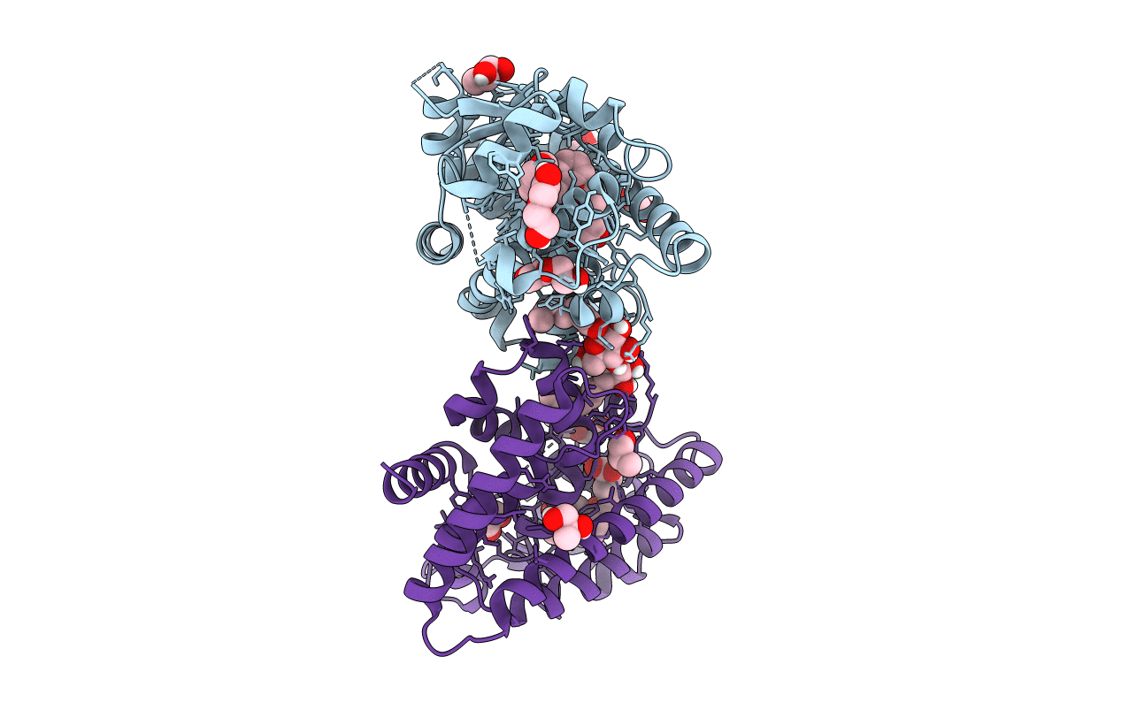 5U40 image