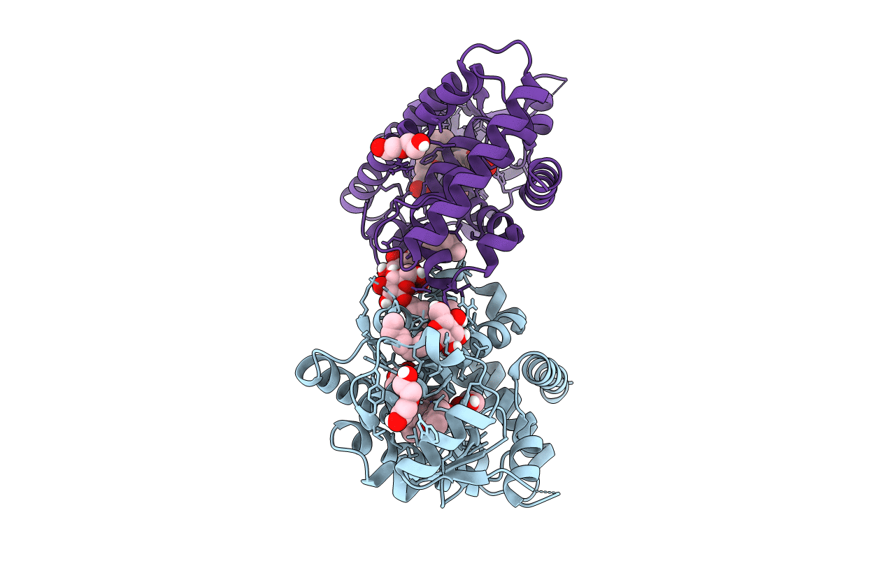 5U43 image