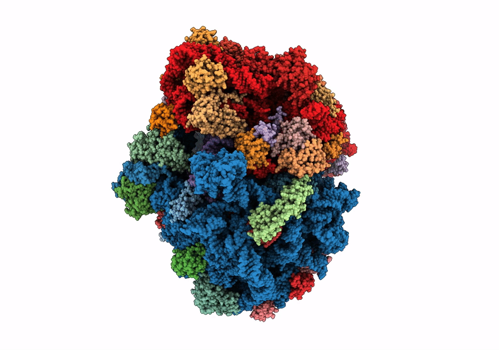 5U4I image