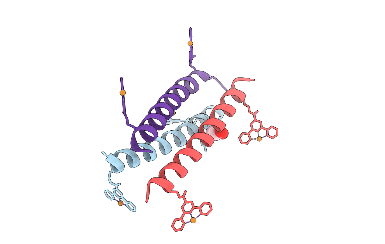 5U5B image