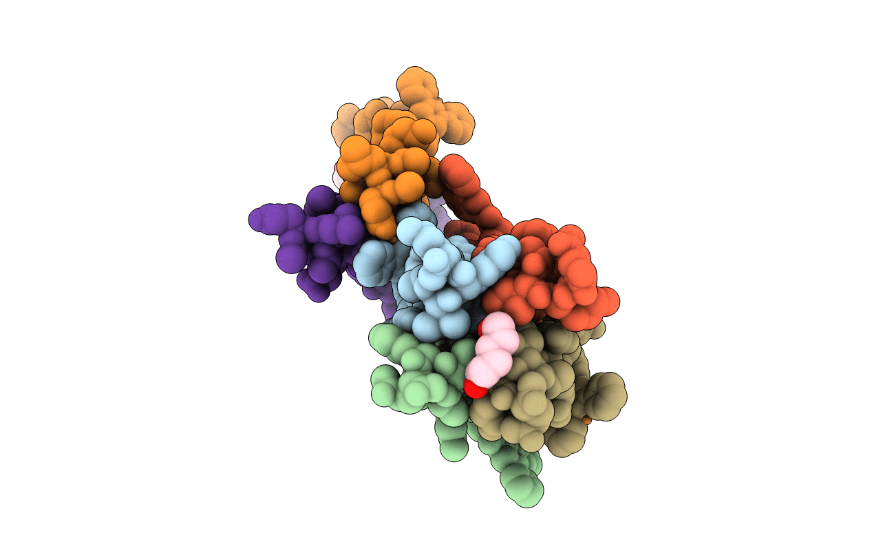 5U5C image