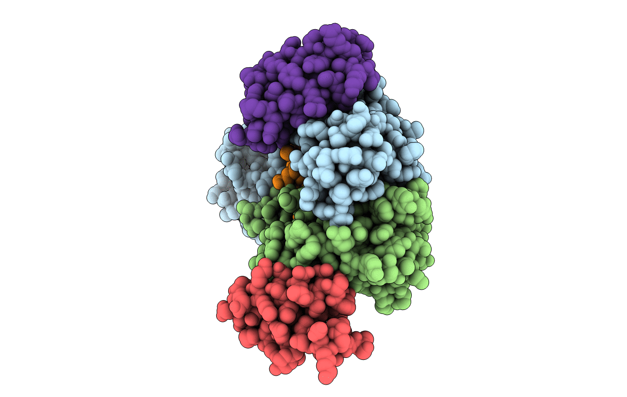 5U5M image