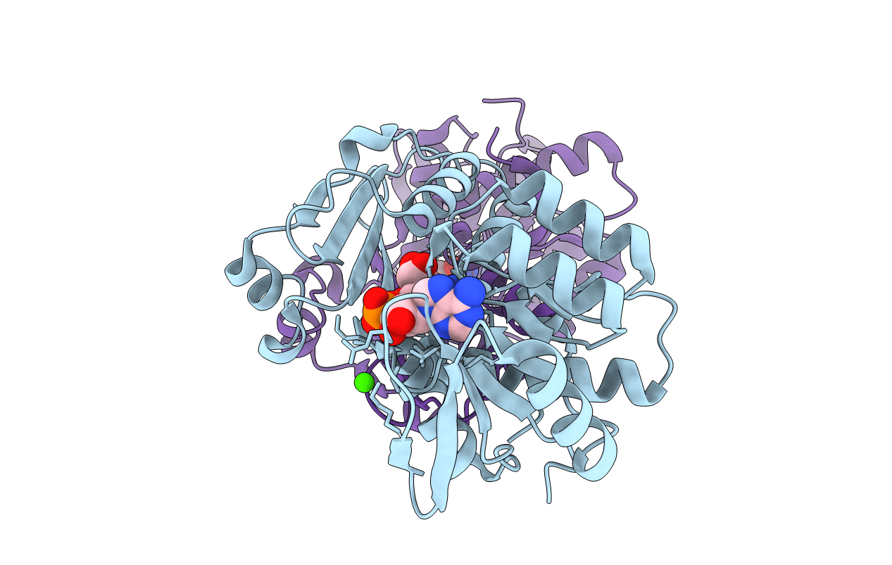 5U5N image