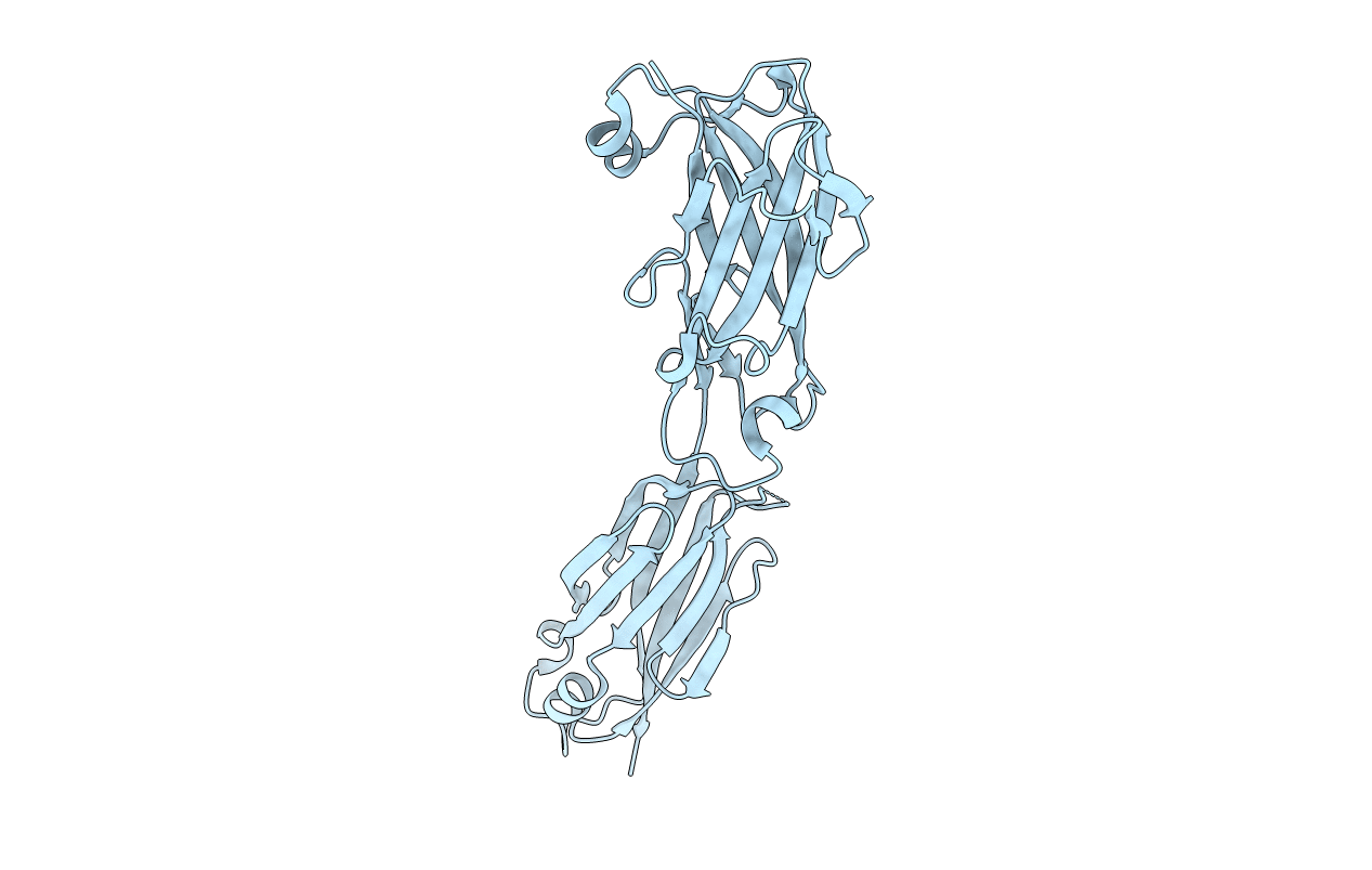 5U5O image