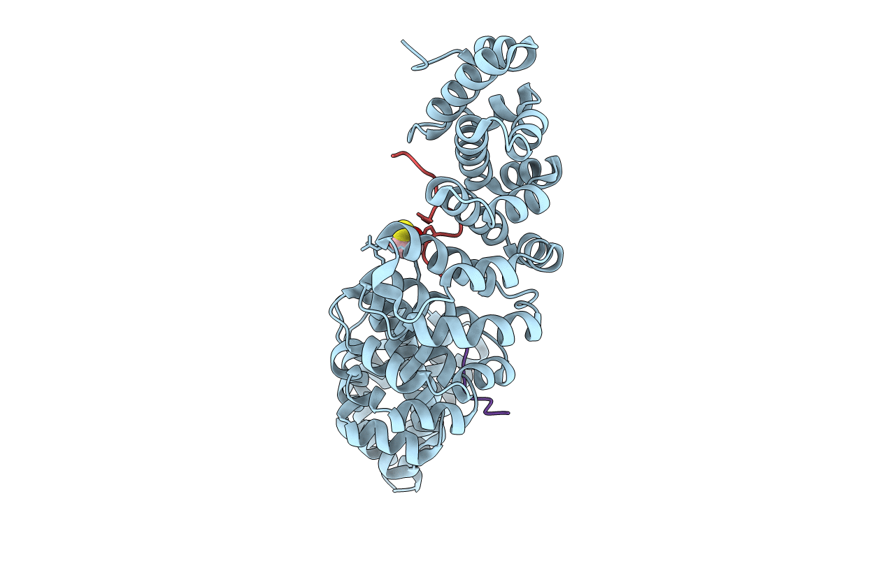 5U5P image