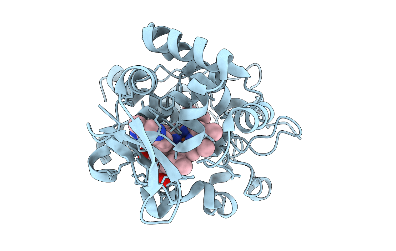 5U5W image