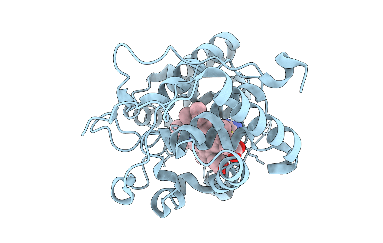5U5X image