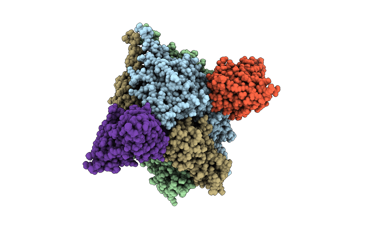 5U68 image