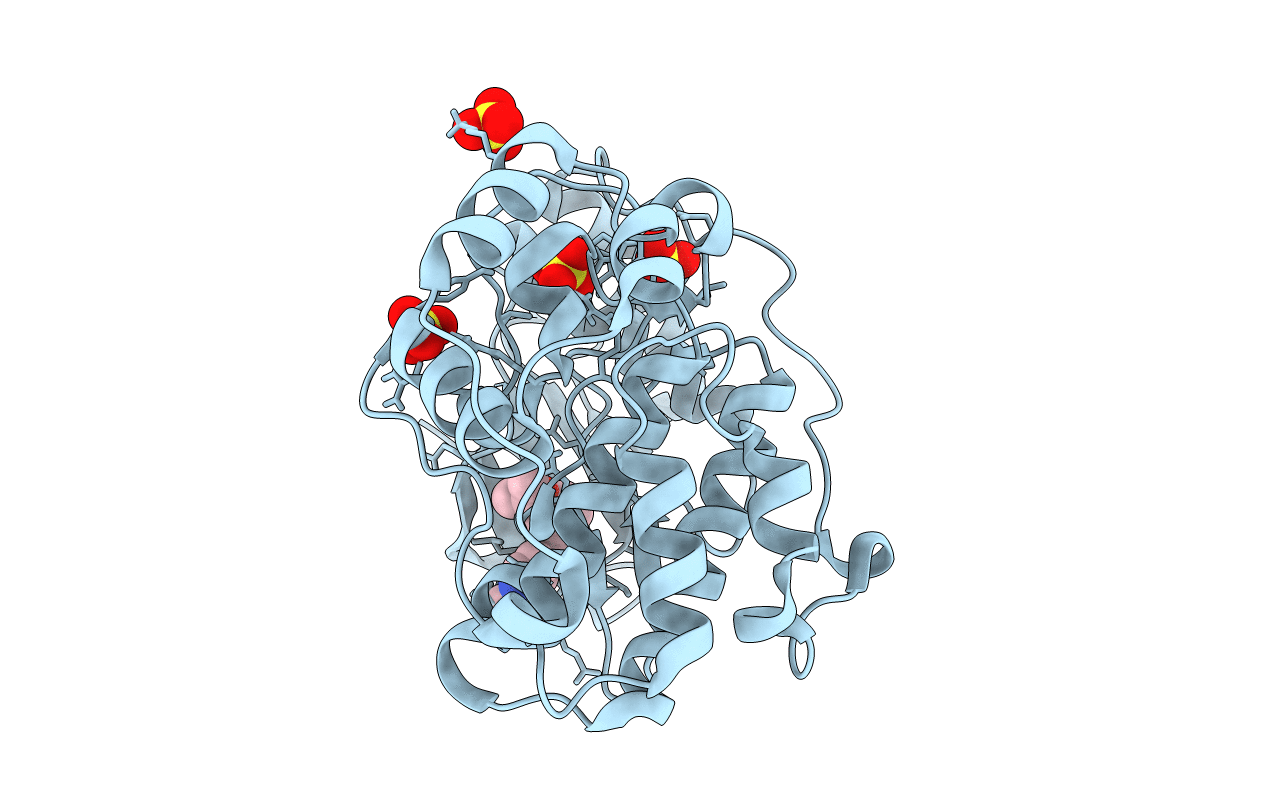 5U6I image