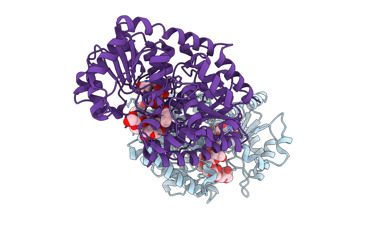 5U6N image